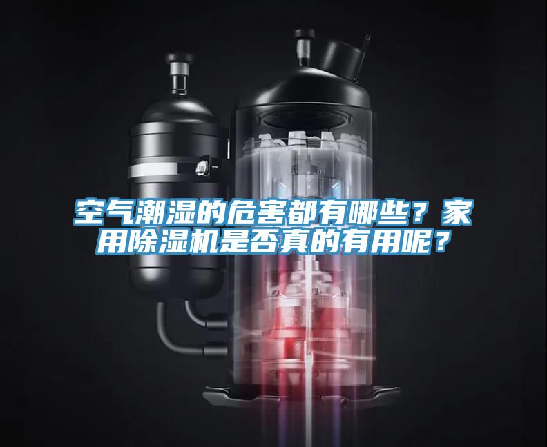 空气潮湿的危害都有哪些？家用泡芙短视频APP官方下载地址是否真的有用呢？