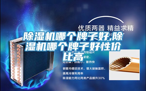 泡芙短视频APP官方下载地址哪个牌子好,泡芙短视频APP官方下载地址哪个牌子好性价比高