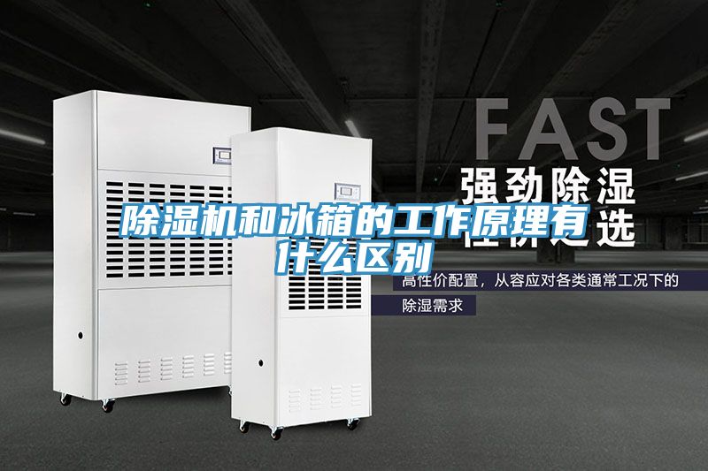 泡芙短视频APP官方下载地址和冰箱的工作原理有什么区别