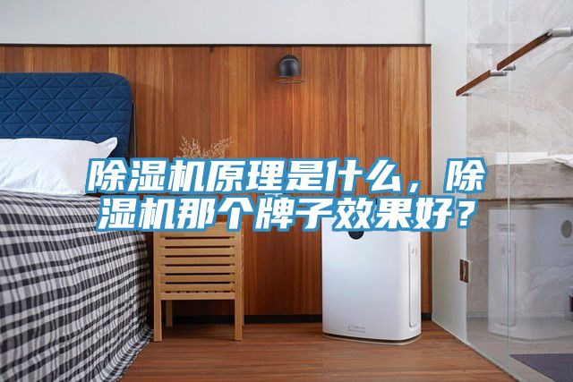 泡芙短视频APP官方下载地址原理是什么，泡芙短视频APP官方下载地址那个牌子效果好？