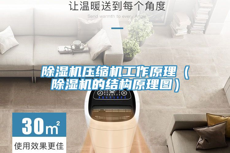 泡芙短视频APP官方下载地址压缩机工作原理（泡芙短视频APP官方下载地址的结构原理图）