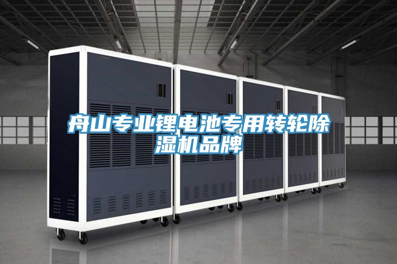 舟山专业锂电池专用转轮泡芙短视频APP官方下载地址品牌