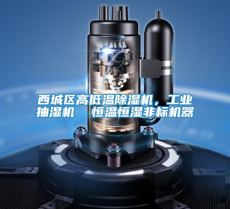 西城区高低温泡芙短视频APP官方下载地址，工业抽湿机  恒温恒湿非标机器