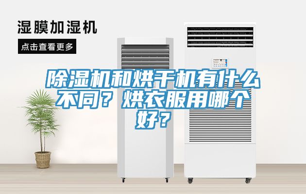 泡芙短视频APP官方下载地址和烘干机有什么不同？烘衣服用哪个好？