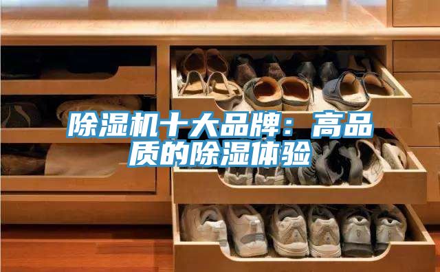 泡芙短视频APP官方下载地址十大品牌：高品质的除湿体验