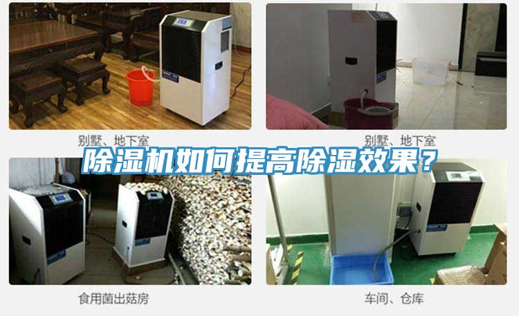 泡芙短视频APP官方下载地址如何提高除湿效果？