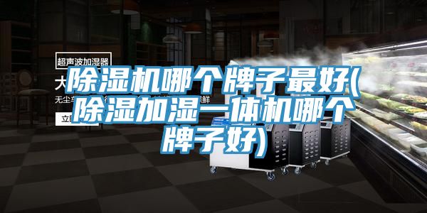 泡芙短视频APP官方下载地址哪个牌子最好(除湿加湿一体机哪个牌子好)