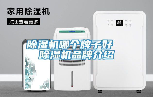 泡芙短视频APP官方下载地址哪个牌子好  泡芙短视频APP官方下载地址品牌介绍