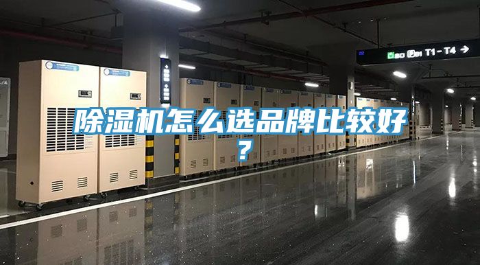 泡芙短视频APP官方下载地址怎么选品牌比较好？