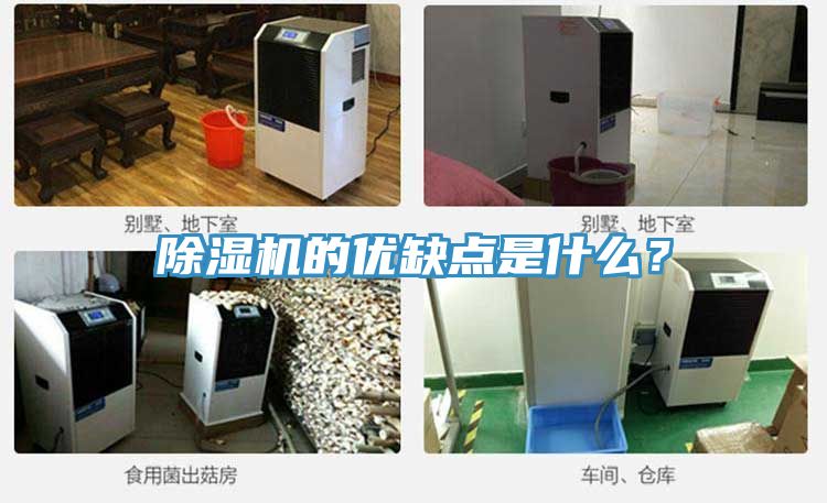 泡芙短视频APP官方下载地址的优缺点是什么？