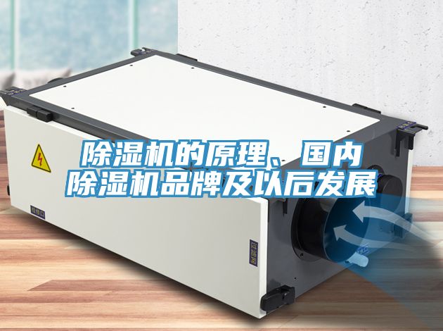 泡芙短视频APP官方下载地址的原理、国内泡芙短视频APP官方下载地址品牌及以后发展