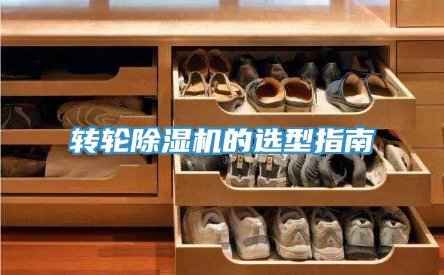 转轮泡芙短视频APP官方下载地址的选型指南