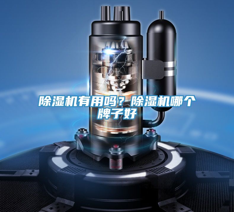 泡芙短视频APP官方下载地址有用吗？泡芙短视频APP官方下载地址哪个牌子好