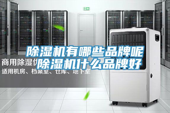 泡芙短视频APP官方下载地址有哪些品牌呢 泡芙短视频APP官方下载地址什么品牌好