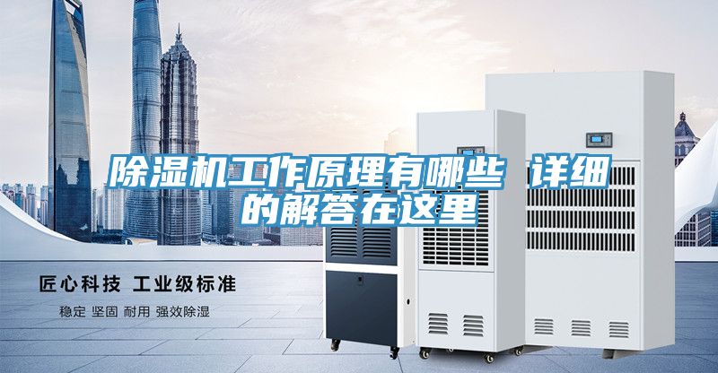 泡芙短视频APP官方下载地址工作原理有哪些 详细的解答在这里