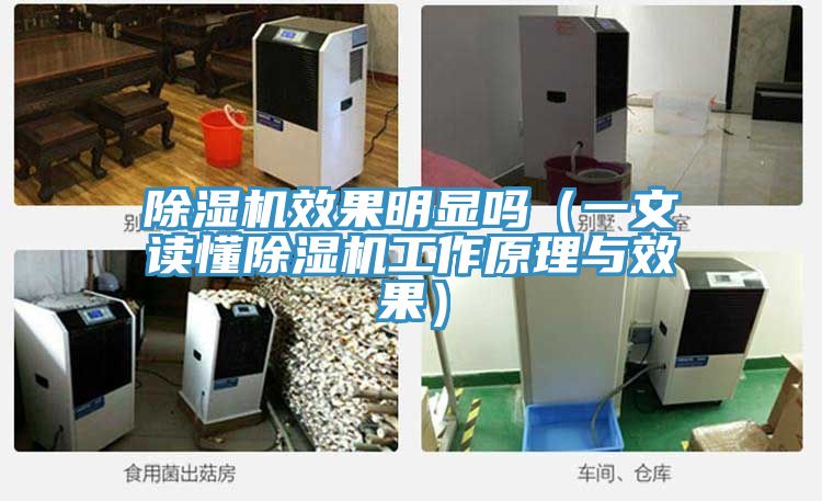 泡芙短视频APP官方下载地址效果明显吗（一文读懂泡芙短视频APP官方下载地址工作原理与效果）