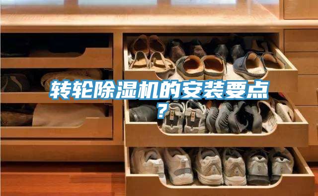 转轮泡芙短视频APP官方下载地址的安装要点？