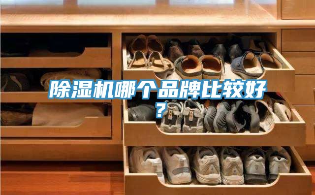 泡芙短视频APP官方下载地址哪个品牌比较好？