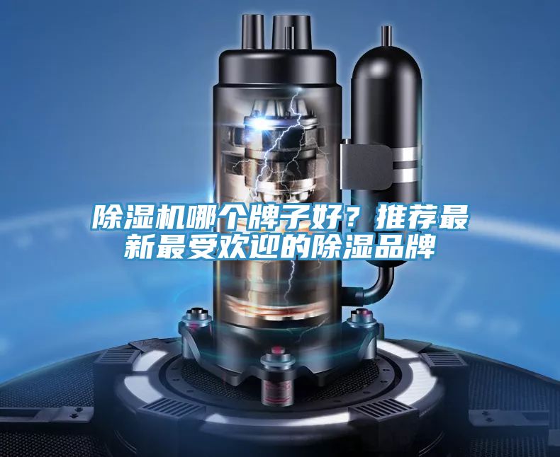 泡芙短视频APP官方下载地址哪个牌子好？推荐最新最受欢迎的除湿品牌