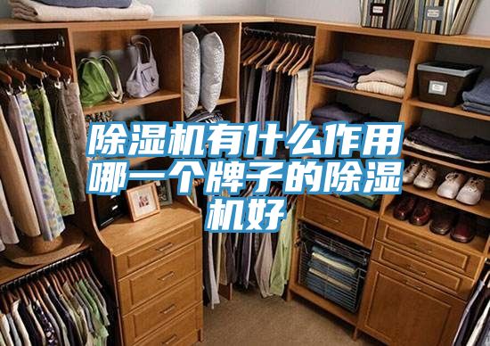 泡芙短视频APP官方下载地址有什么作用哪一个牌子的泡芙短视频APP官方下载地址好