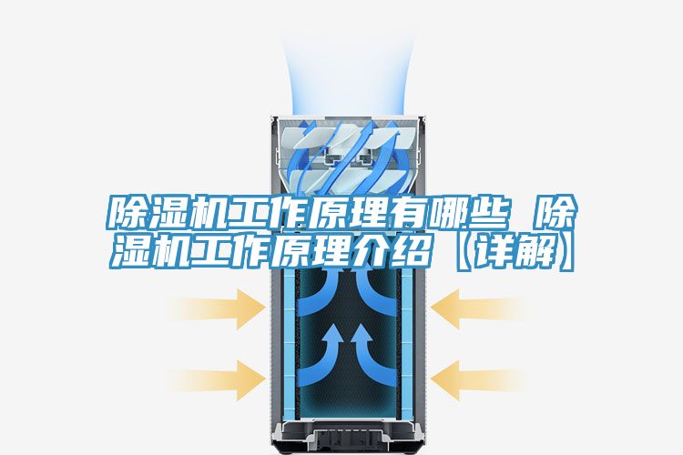 泡芙短视频APP官方下载地址工作原理有哪些 泡芙短视频APP官方下载地址工作原理介绍【详解】