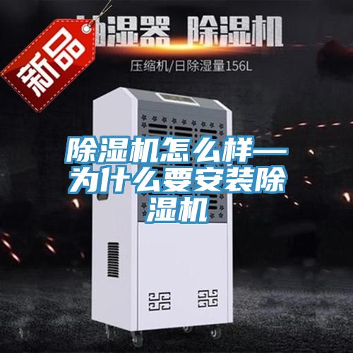 泡芙短视频APP官方下载地址怎么样—为什么要安装泡芙短视频APP官方下载地址