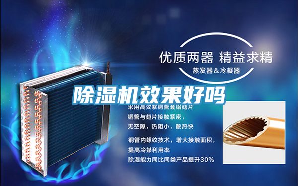 泡芙短视频APP官方下载地址效果好吗