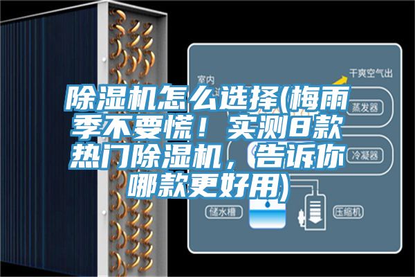 泡芙短视频APP官方下载地址怎么选择(梅雨季不要慌！实测8款热门泡芙短视频APP官方下载地址，告诉你哪款更好用)