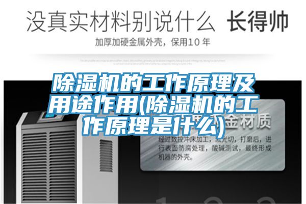 泡芙短视频APP官方下载地址的工作原理及用途作用(泡芙短视频APP官方下载地址的工作原理是什么)