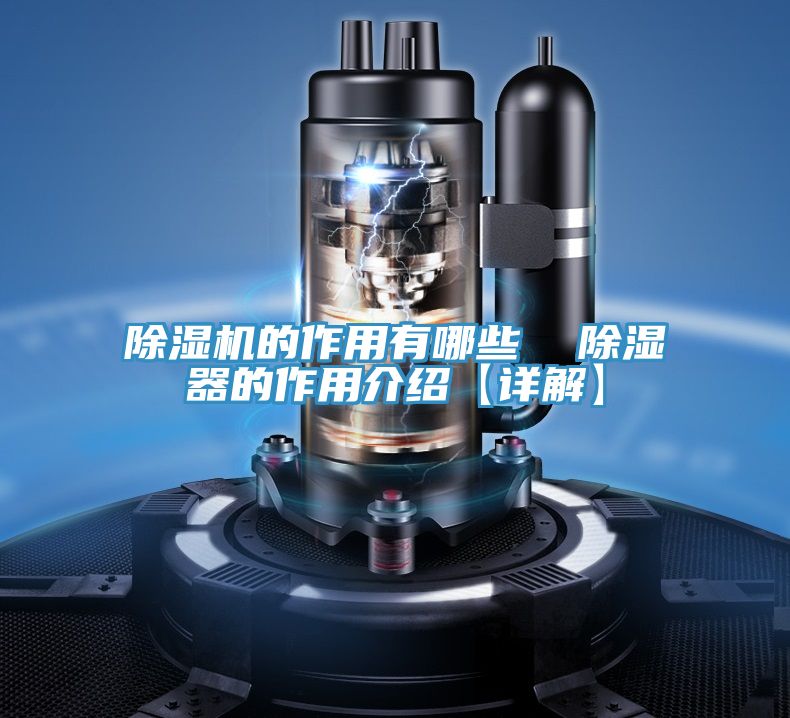 泡芙短视频APP官方下载地址的作用有哪些  除湿器的作用介绍【详解】