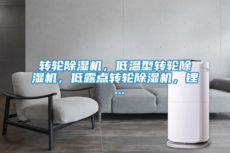 转轮泡芙短视频APP官方下载地址，低温型转轮泡芙短视频APP官方下载地址，低露点转轮泡芙短视频APP官方下载地址，锂 ...