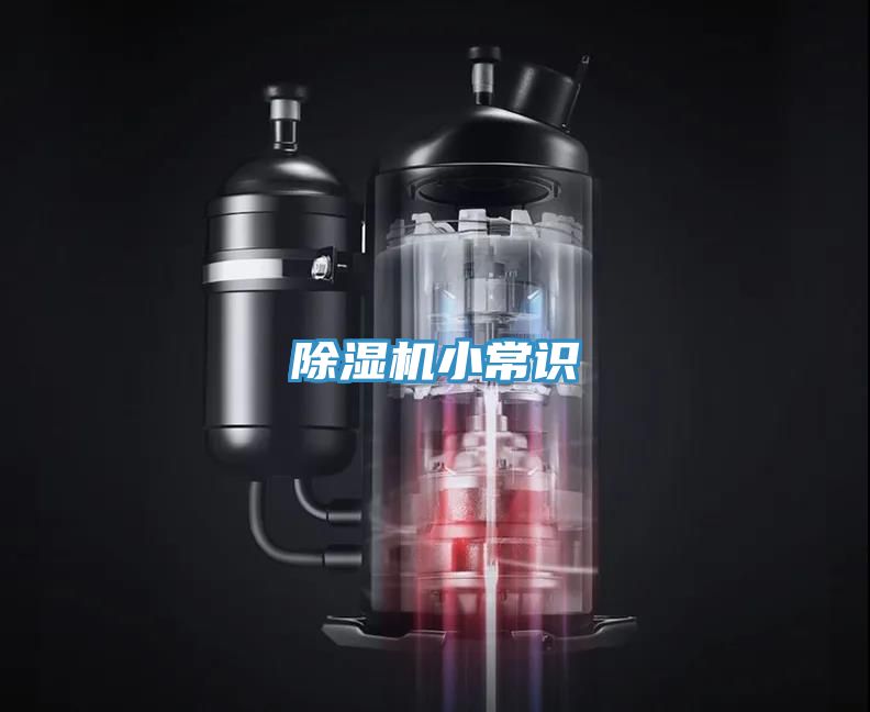 泡芙短视频APP官方下载地址小常识