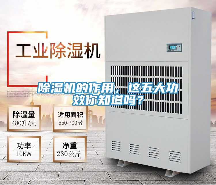 泡芙短视频APP官方下载地址的作用，这五大功效你知道吗？